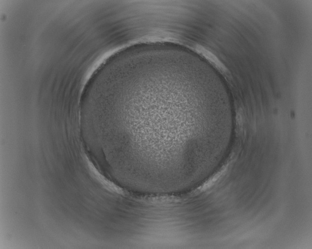 X0000070410934200606231824