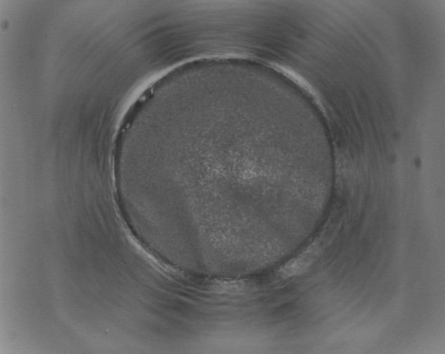 X0000070410935200606231824