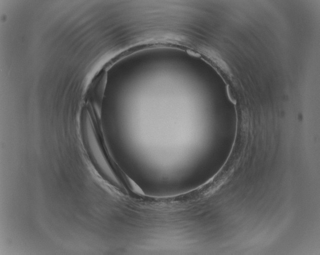 X0000070410936200606231824