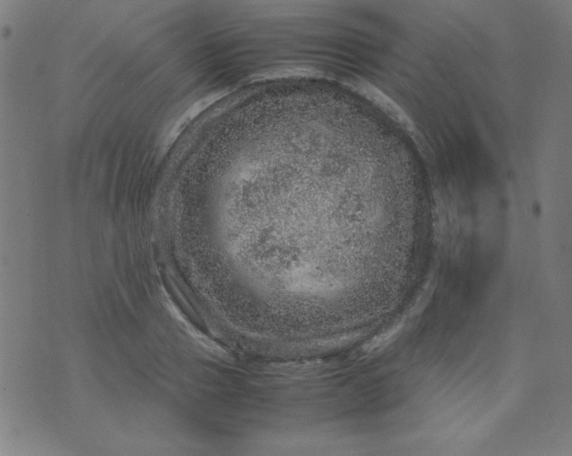 X0000070410937200606231824