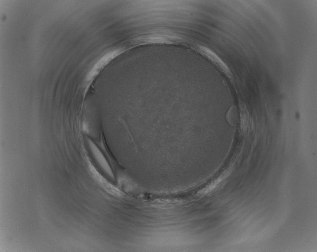 X0000070410938200606231824