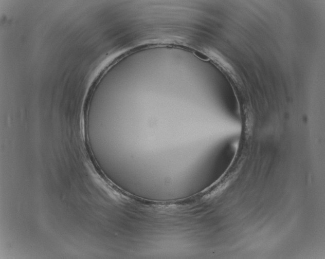 X0000070410940200606231824