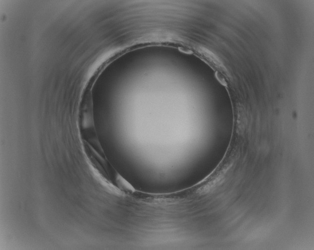 X0000070410942200606231824