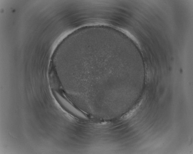 X0000070410943200606231824