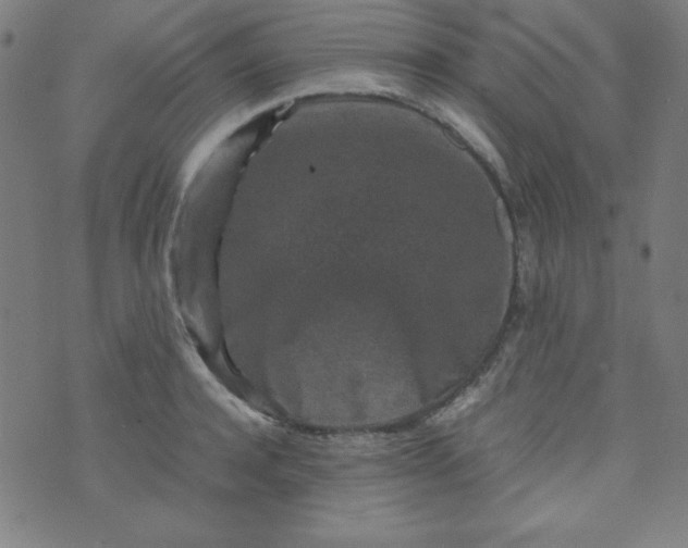 X0000070410944200606231825