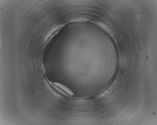 X0000070410945200606231825