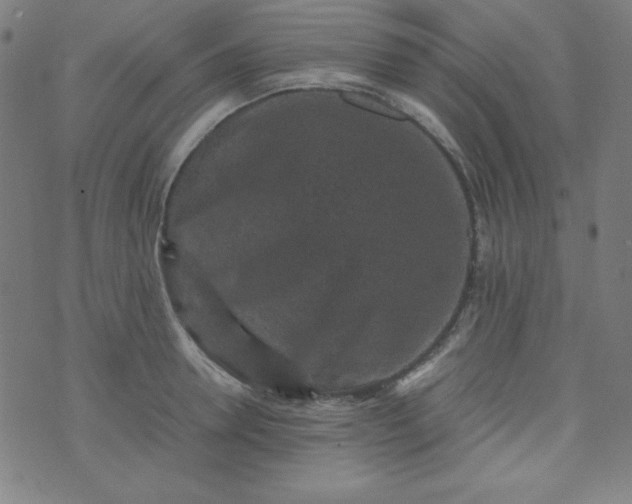 X0000070410946200606231825