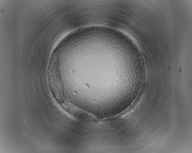 X0000070410949200606231825