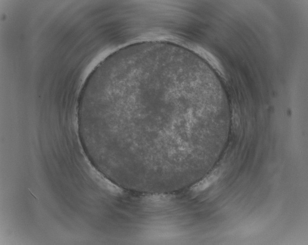 X0000070410950200606231825