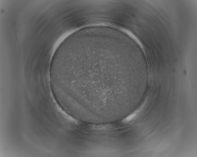 X0000070410951200606231825