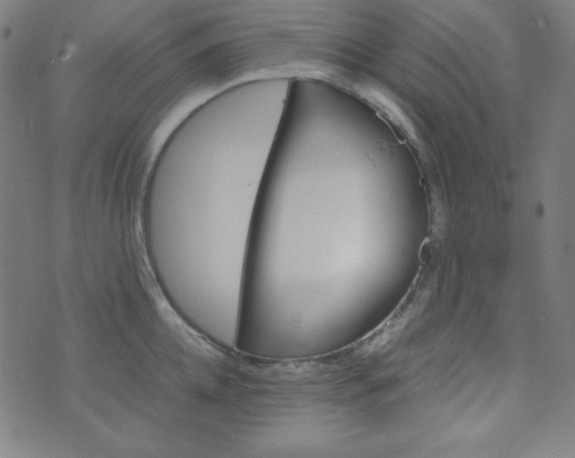 X0000070410952200606231825