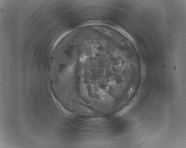 X0000070410953200606231825