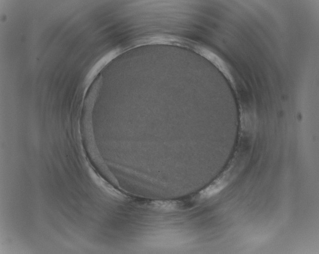 X0000070410954200606231825