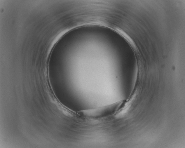 X0000070410956200606231825