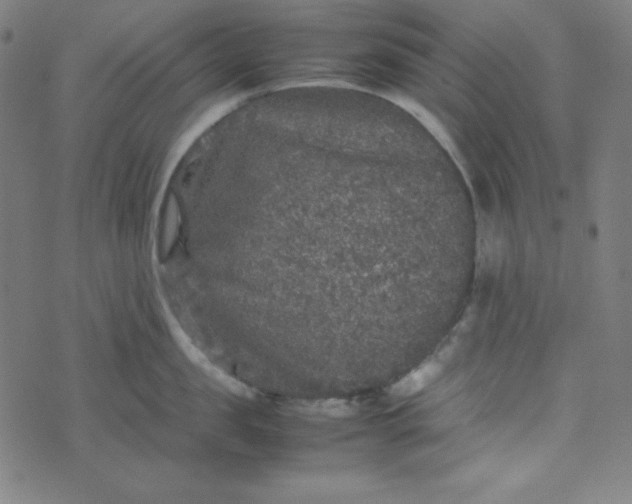 X0000070410957200606231825