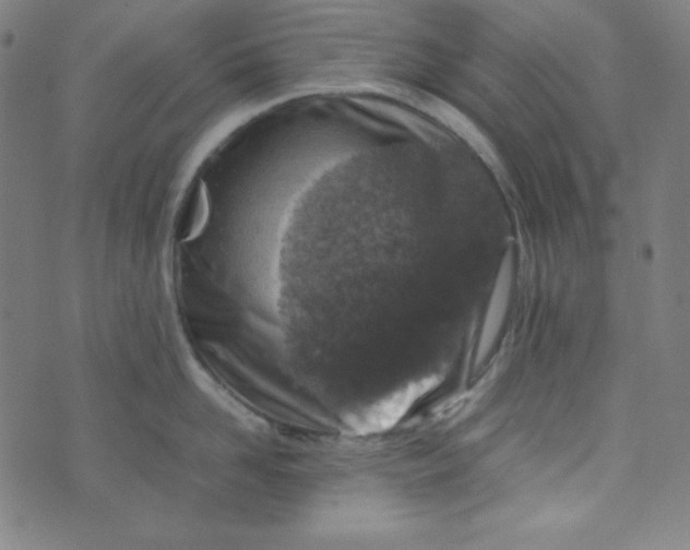 X0000070410958200606231825