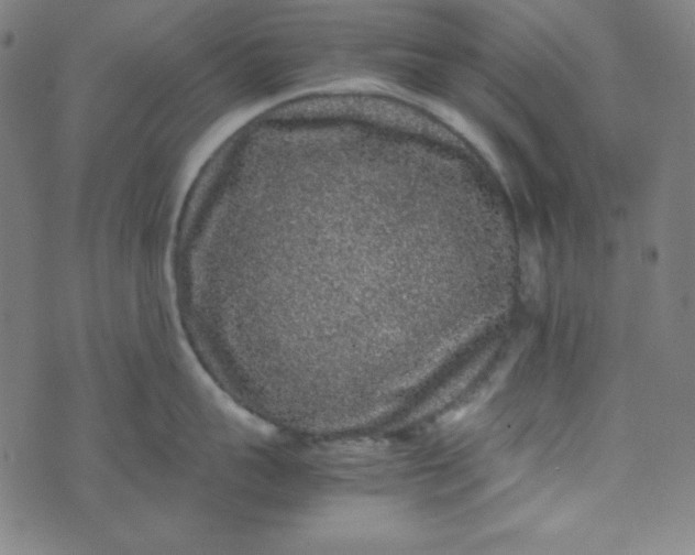 X0000070410959200606231825