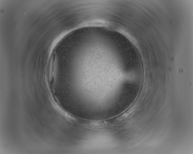 X0000070410960200606231825