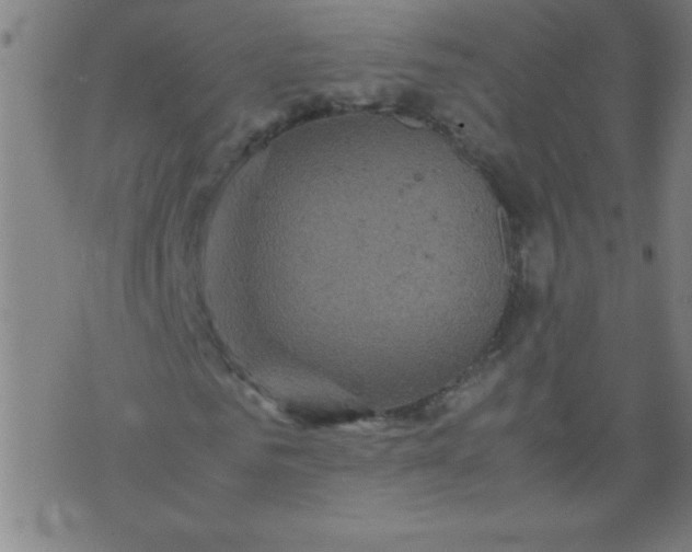 X0000070410961200606231824