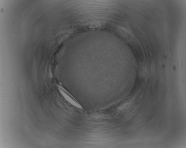 X0000070410962200606231824