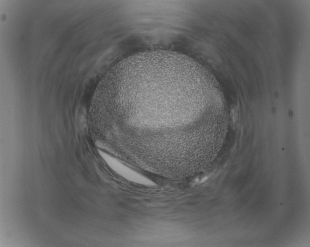 X0000070410963200606231824