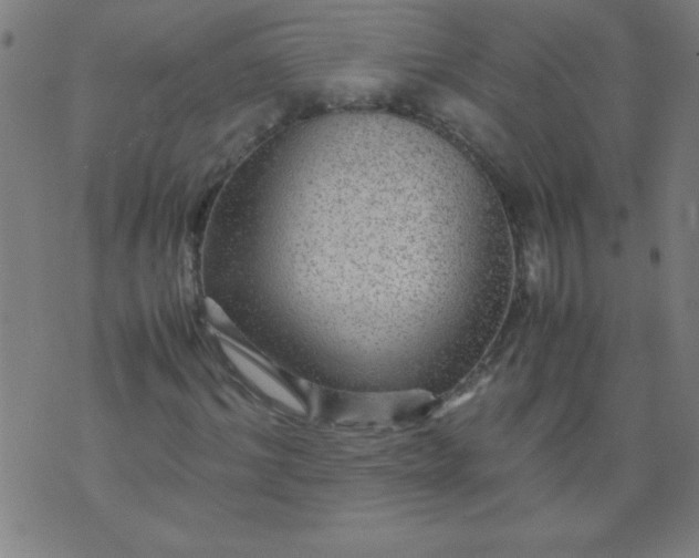 X0000070410964200606231824