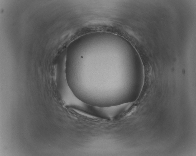 X0000070410965200606231824