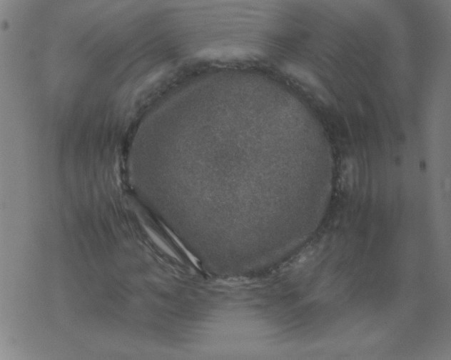 X0000070410966200606231824