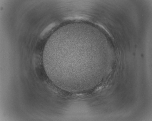 X0000070410967200606231824