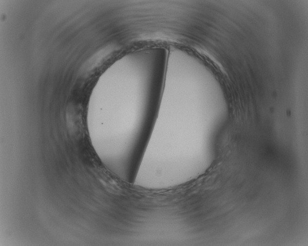 X0000070410968200606231824