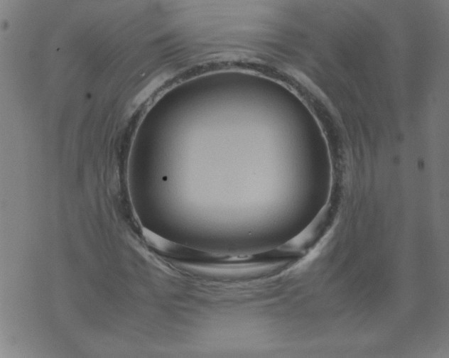 X0000070410969200606231824