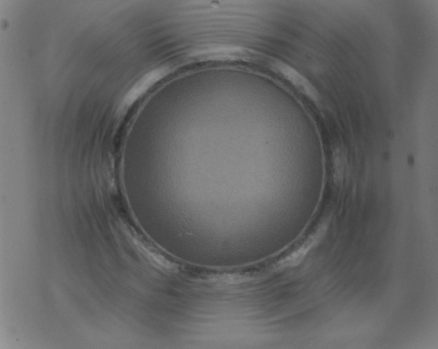 X0000070410970200606231824