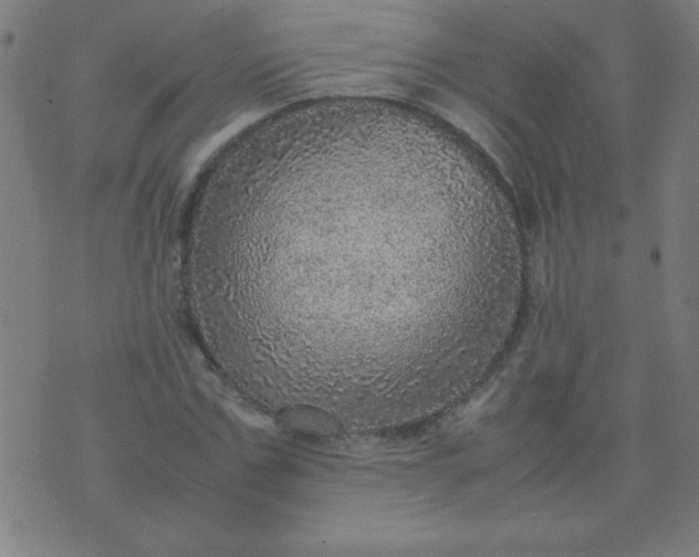 X0000070410971200606231824