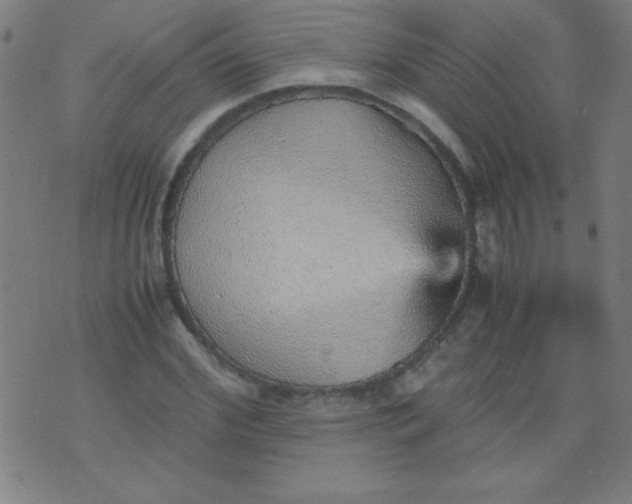 X0000070410972200606231824