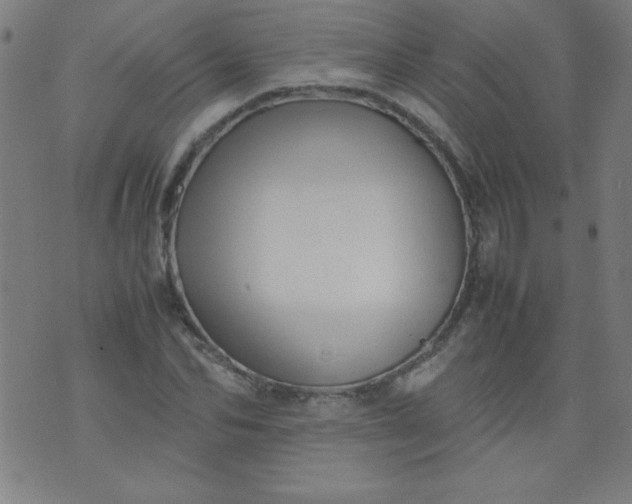 X0000070410974200606231824