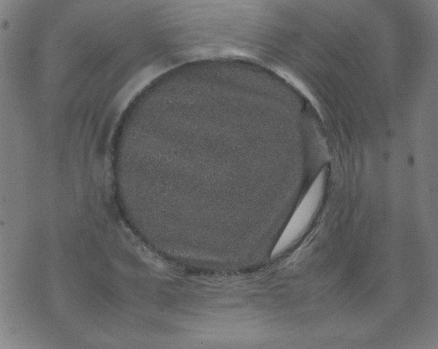 X0000070410975200606231824