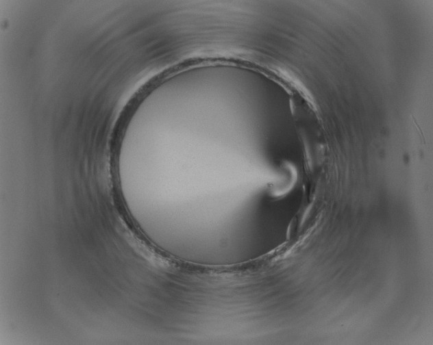 X0000070410976200606231824