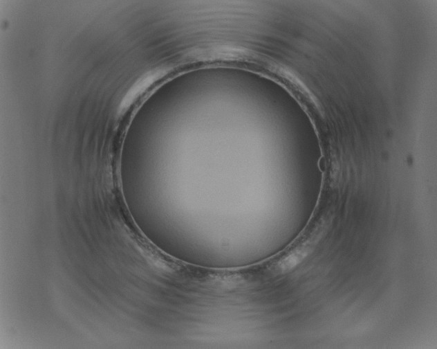 X0000070410978200606231824