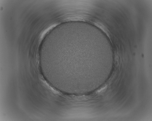 X0000070410979200606231824