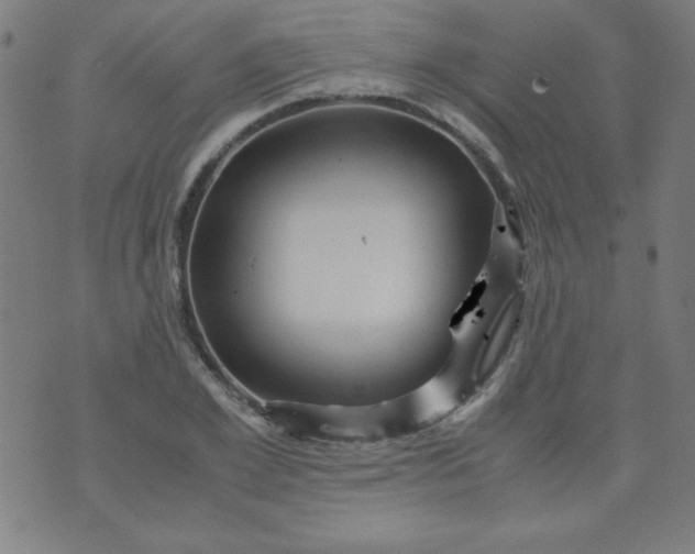 X0000070410981200606231824