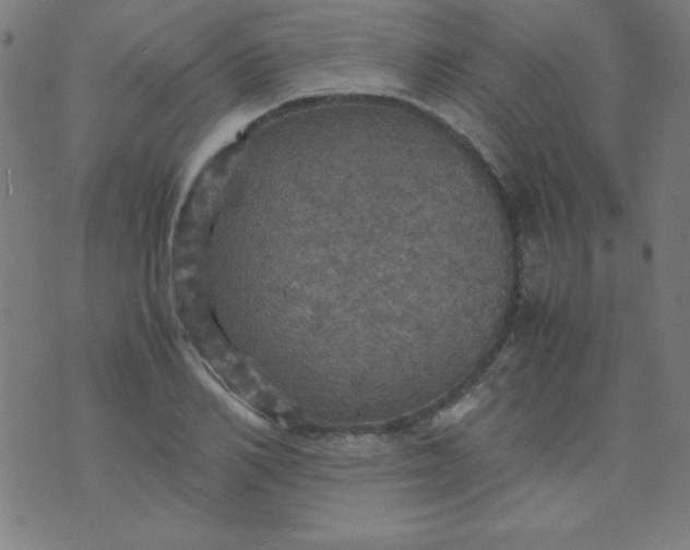 X0000070410982200606231824