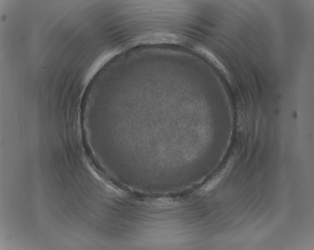 X0000070410986200606231824