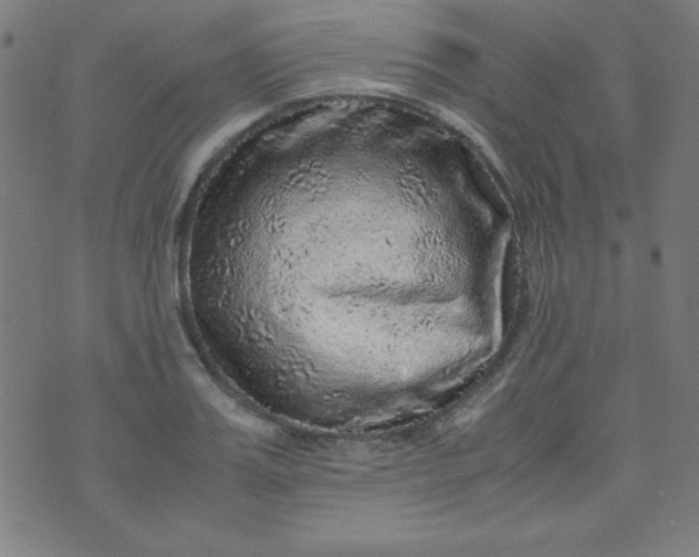 X0000070410987200606231824