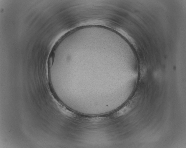 X0000070410988200606231824