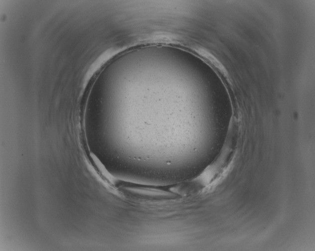 X0000070410989200606231824