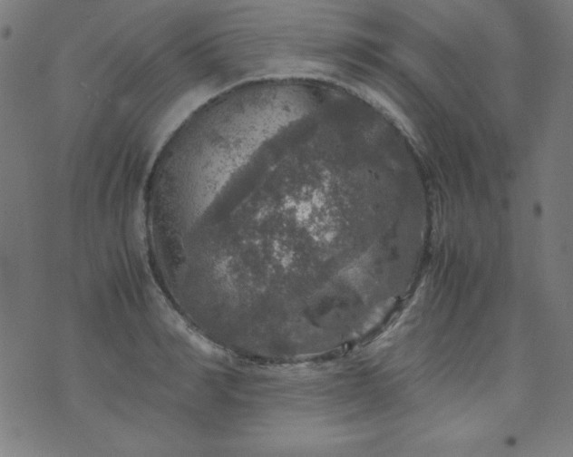 X0000070410990200606231824