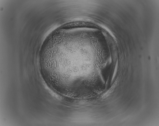 X0000070410991200606231824