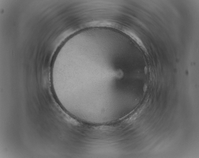 X0000070410992200606231823