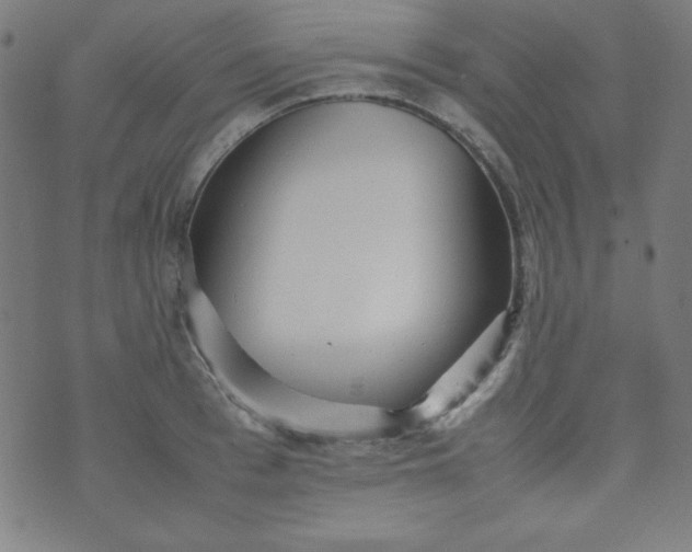 X0000070410993200606231823