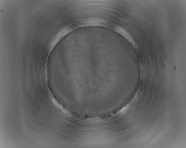 X0000070410994200606231823